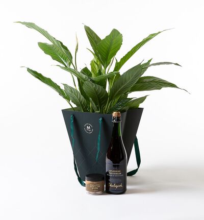 Fredslilje i gavepose med bobler og sjokolade Fredslilje i gavepose med bobler og sjokolade